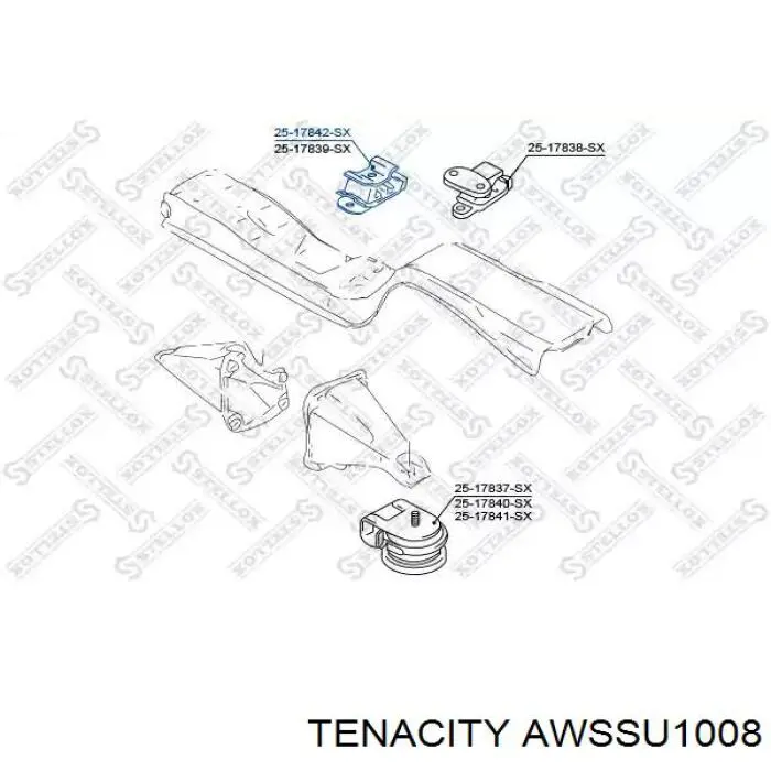 AWSSU1008 Tenacity