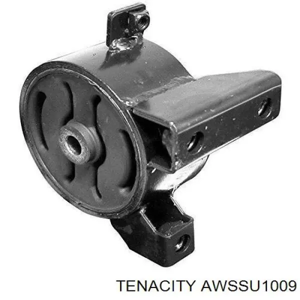 AWSSU1009 Tenacity