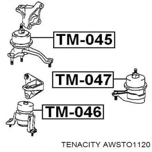 Soporte de motor delantero Tenacity AWSTO1120 precio, desde 53,70 EUR