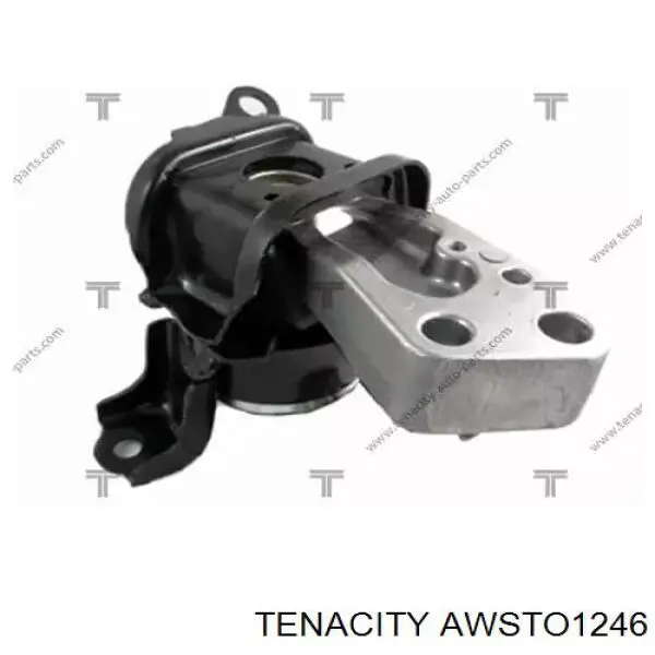 AWSTO1246 Tenacity soporte de motor derecho