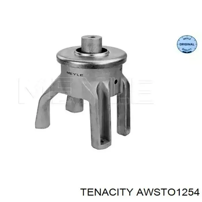 AWSTO1254 Tenacity soporte, motor, derecho superior