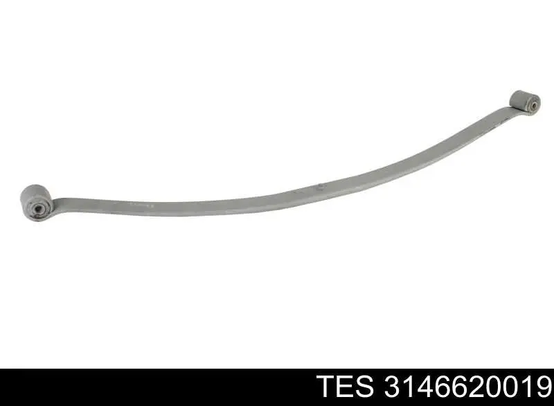 Ballesta, eje trasera  TES 3146620019 precio, desde 109,54 EUR