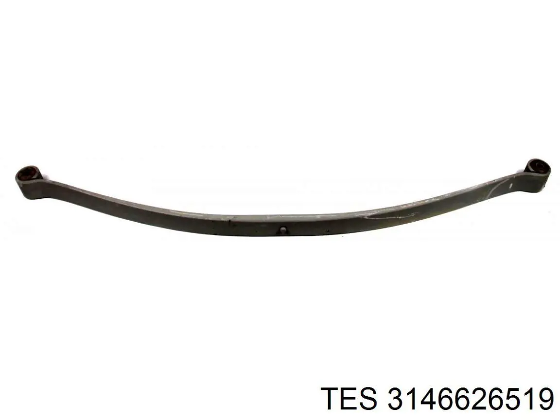 31466265 Mata Hoja de ballesta trasera