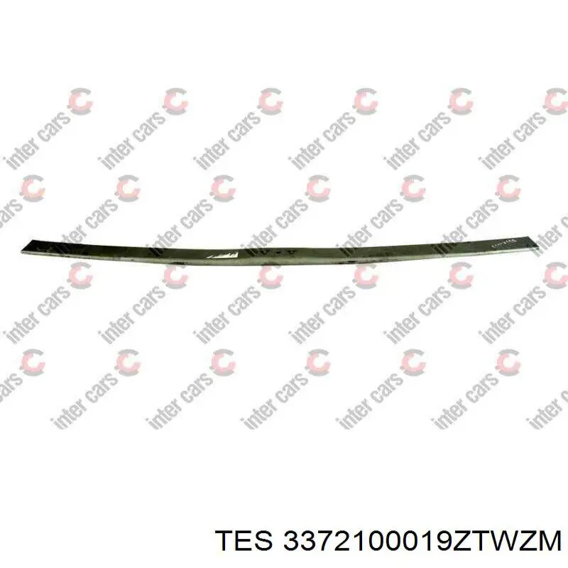 Ballesta, eje trasera  TES 3372100019ZTWZM precio, desde 264,84 EUR