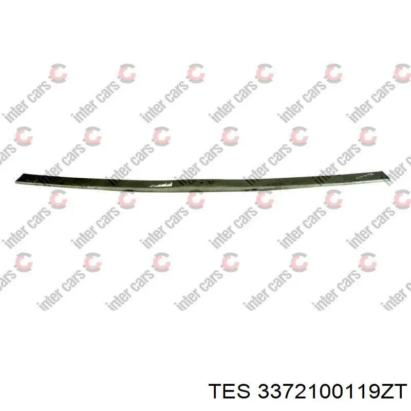 3372100119ZT TES Hoja de ballesta trasera