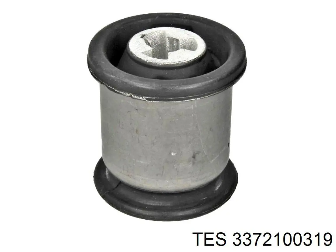 Comprar 3372100319 TES Hoja de ballesta trasera