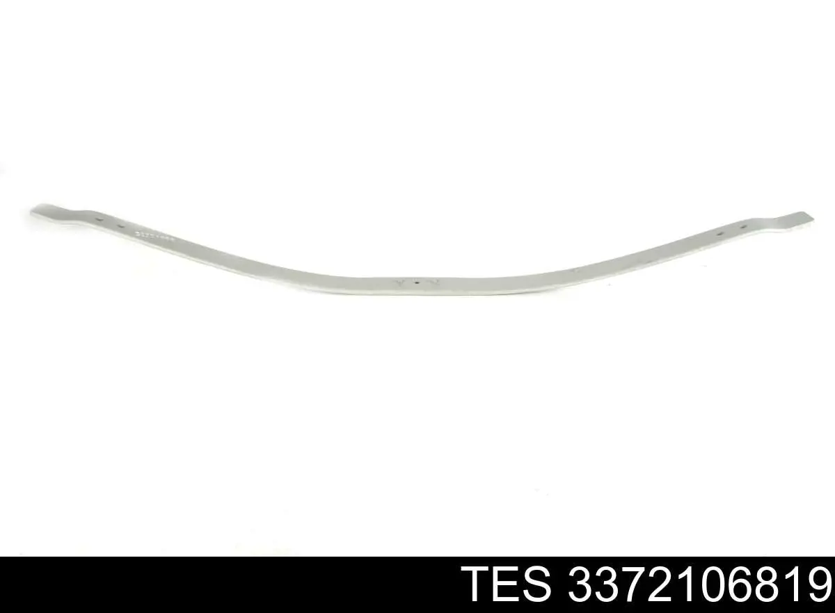 3372106819 TES Hoja de ballesta trasera