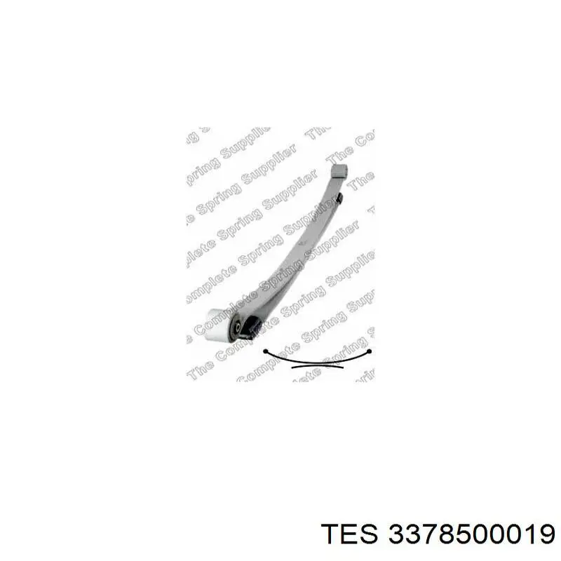3378500019 TES Ballestas de suspensión trasera