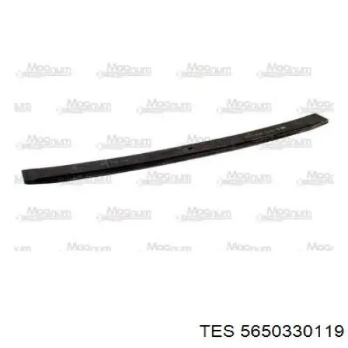 Comprar 5650330119 TES Ballesta de suspensión trasera