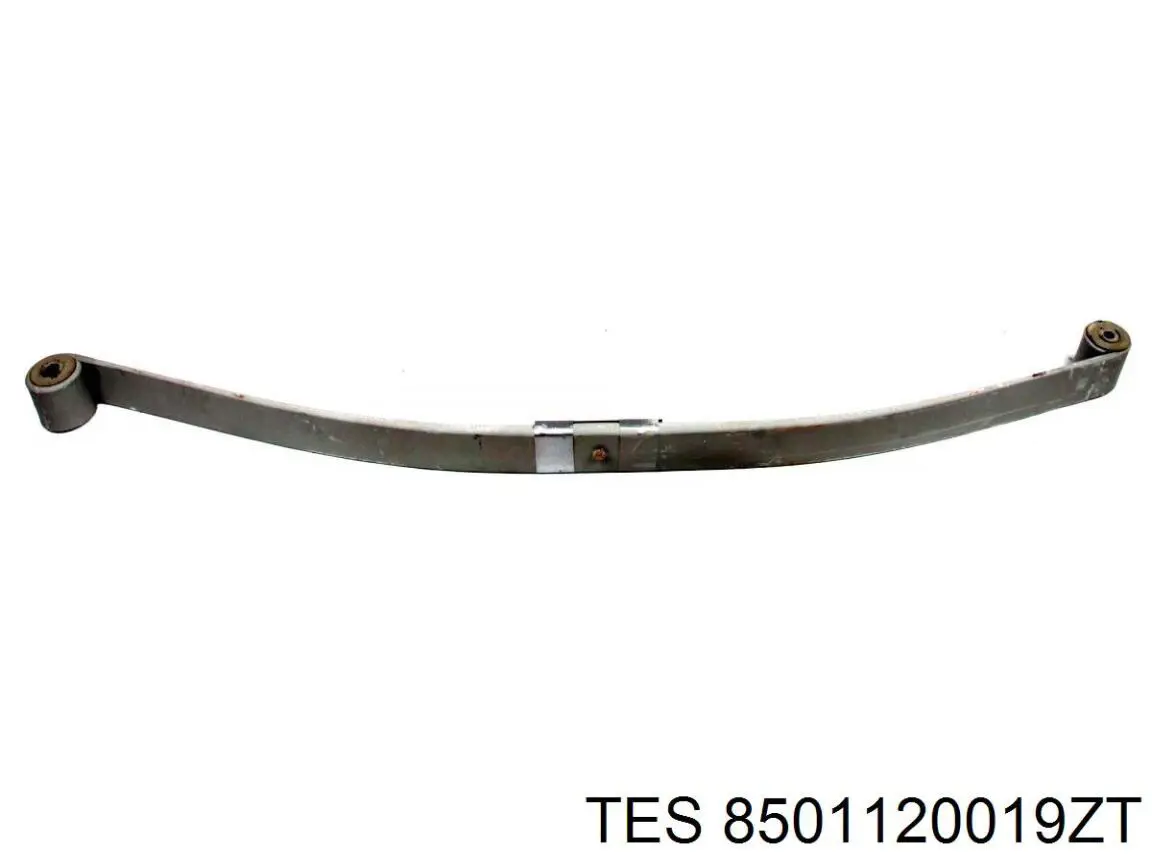 8501120019ZT TES Ballestas de suspensión trasera