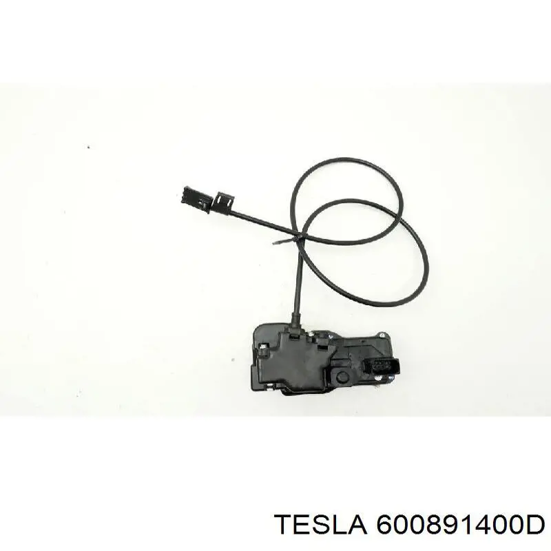 600891400D Tesla Motors