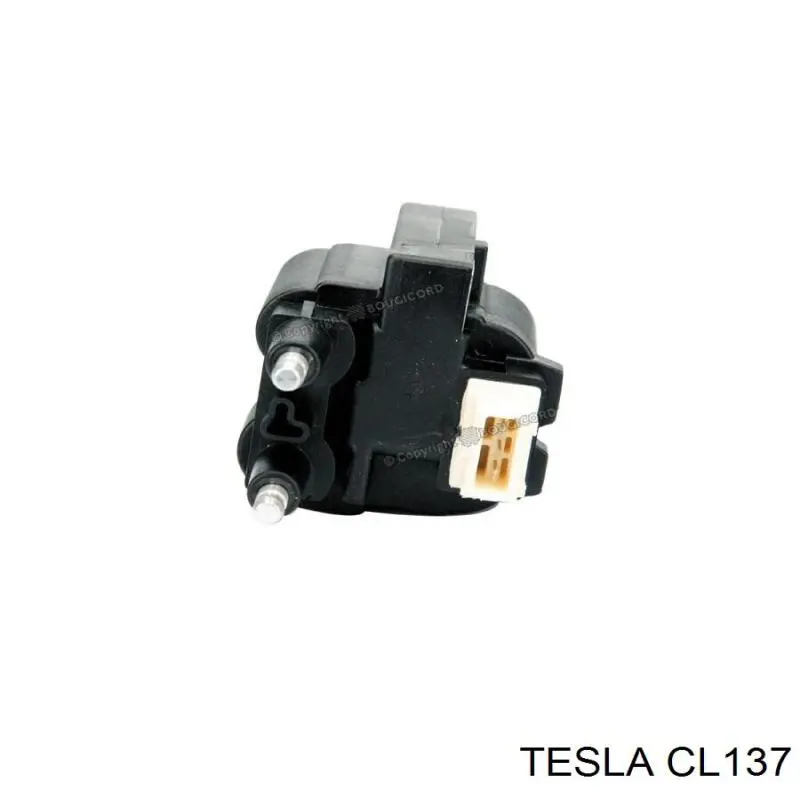 CL137 Tesla bobina