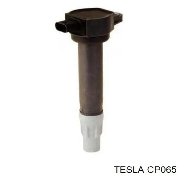 Comprar Terminal de bujía Chrysler 300 C 