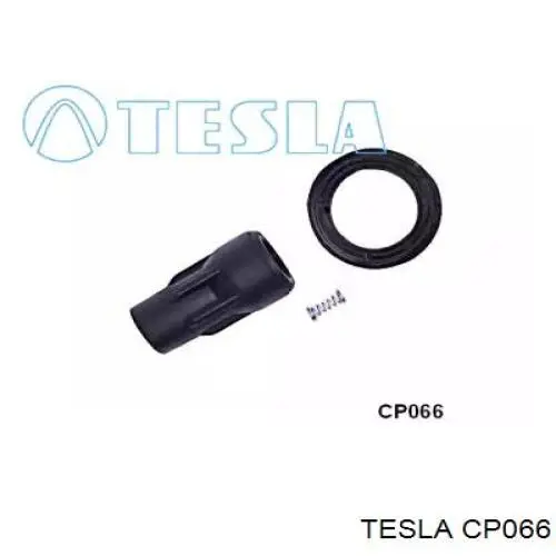 CP066 Tesla bobina de encendido