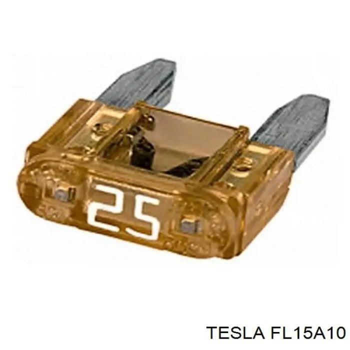 FL 15A.10 Tesla fusible