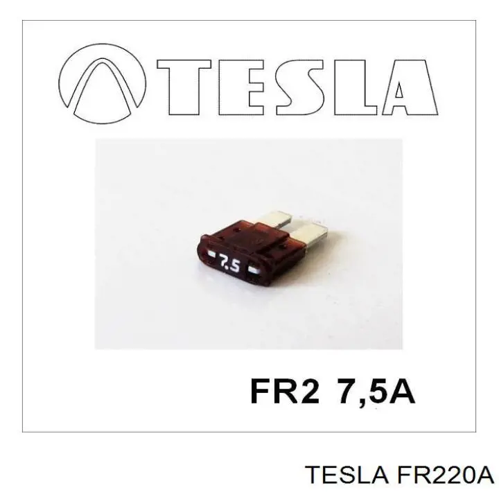 FR220A Tesla