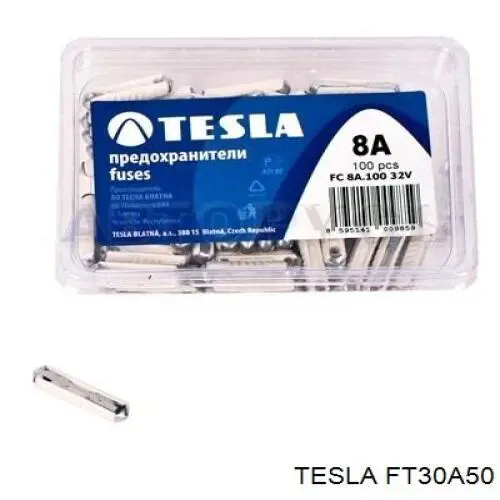 FT 30A.50 Tesla fusible