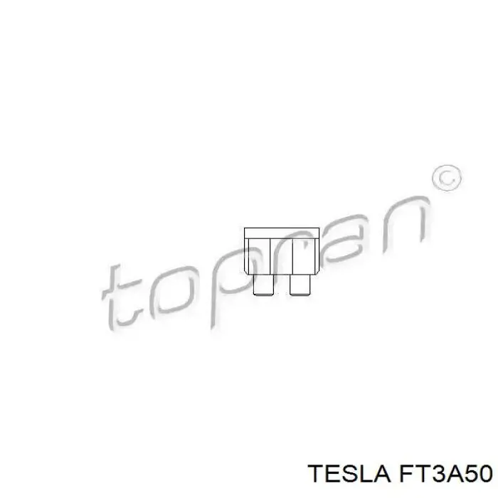 FT3A50 Tesla