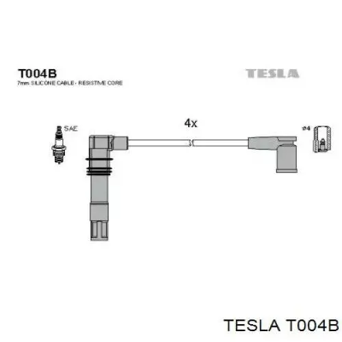 T004B Tesla