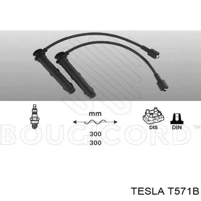 T571B Tesla