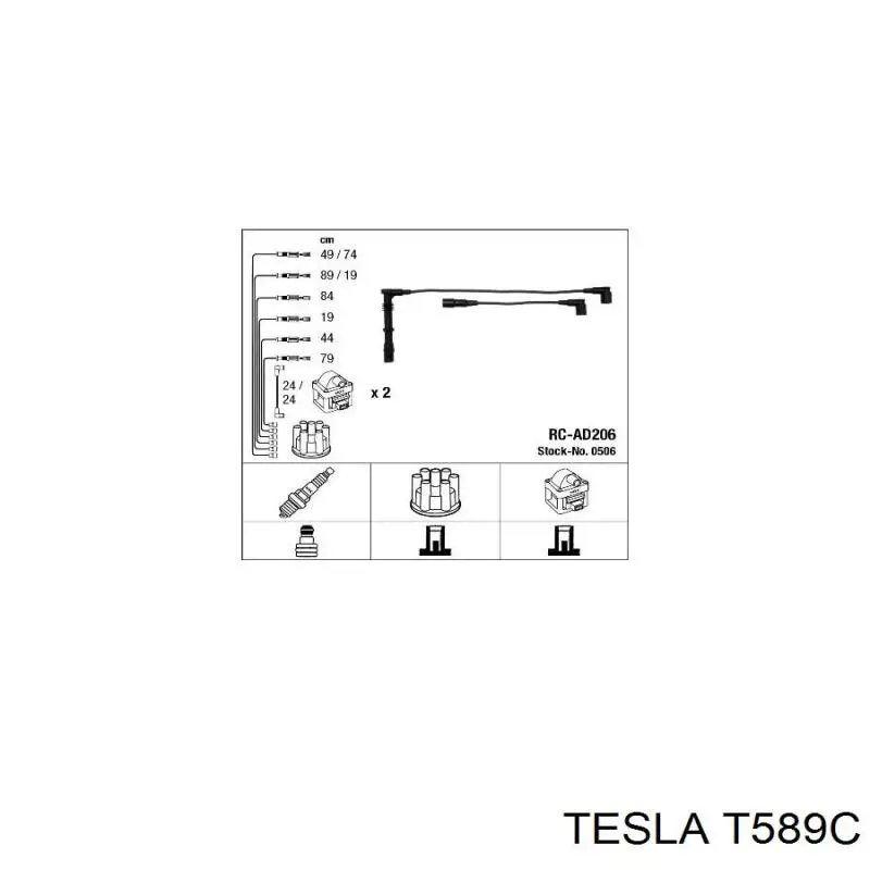 T589C Tesla