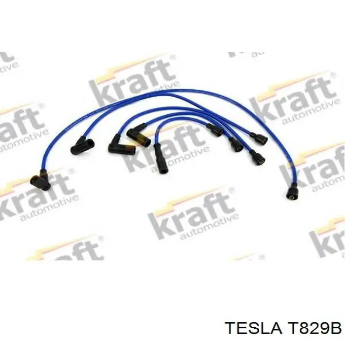 T829B Tesla