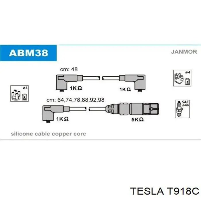 T918C Tesla