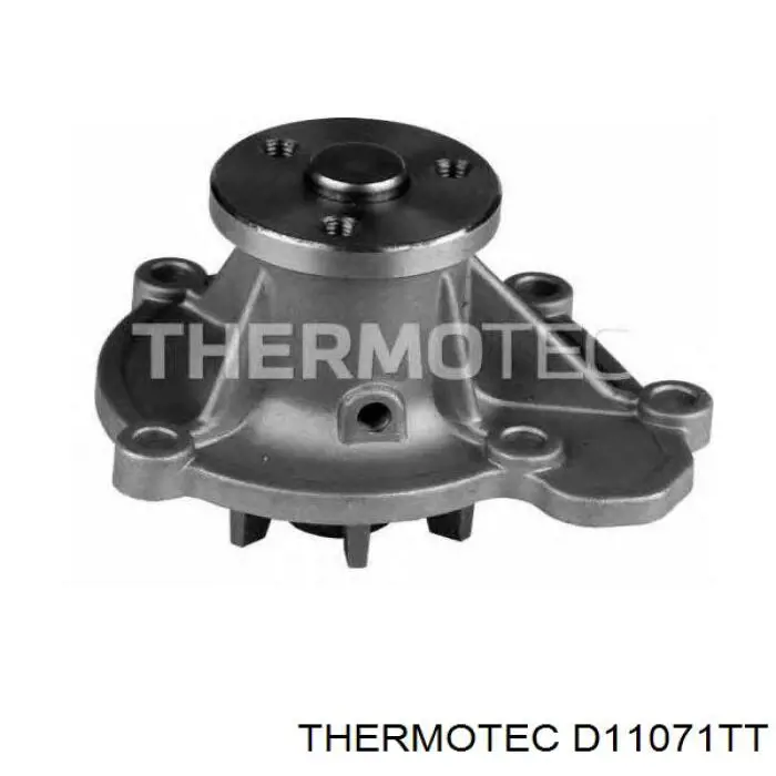 D11071TT Thermotec bomba de agua