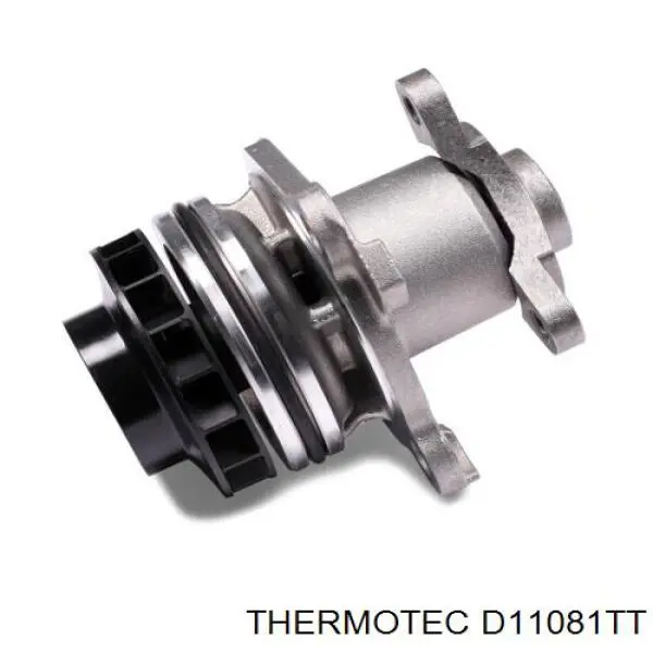 D11081TT Thermotec bomba de agua