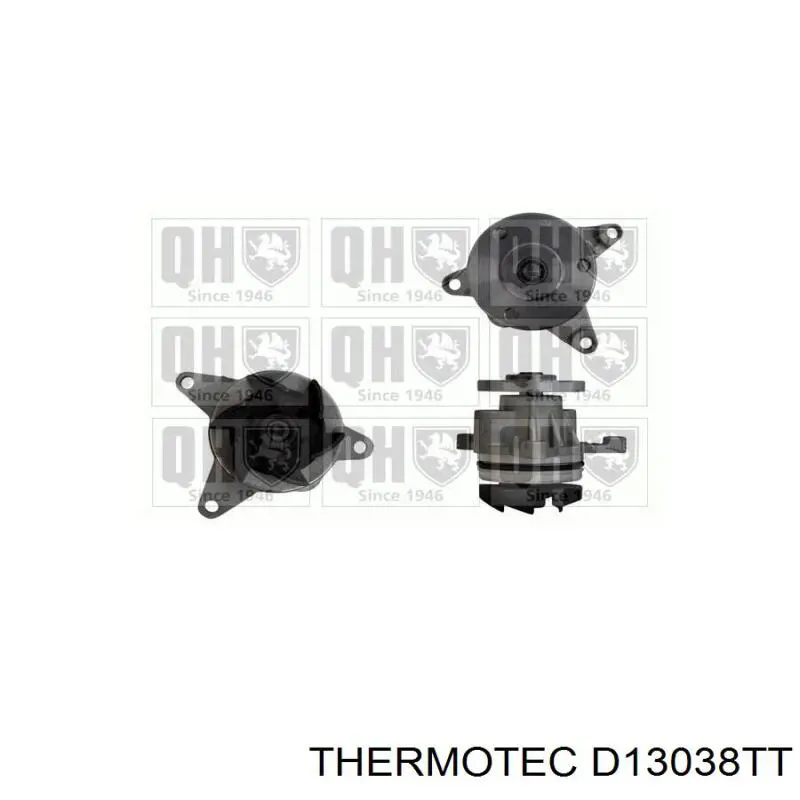 Bombeadora de agua Thermotec D13038TT precio, desde 30,96 EUR