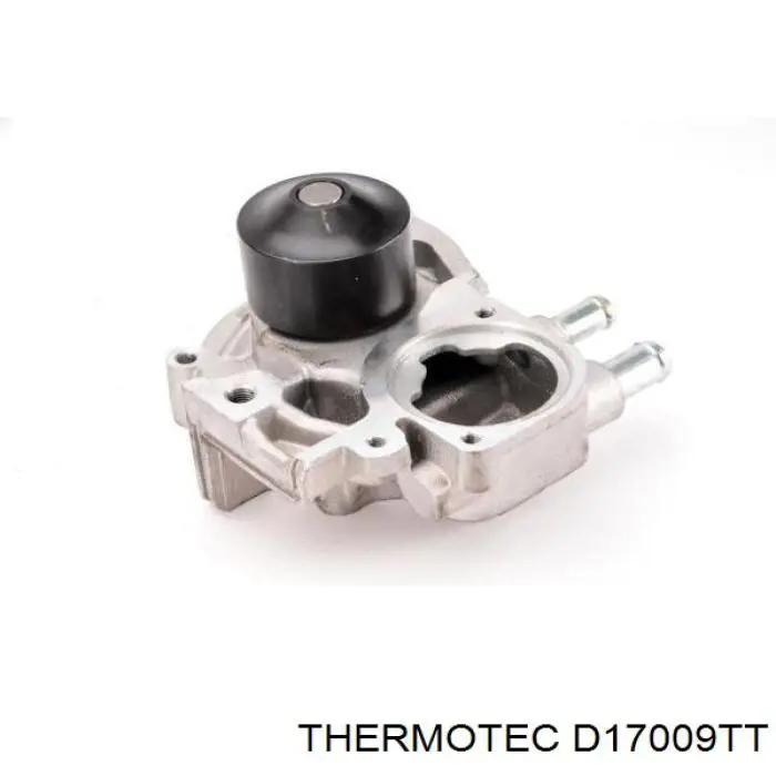 Motor de agua Thermotec D17009TT
