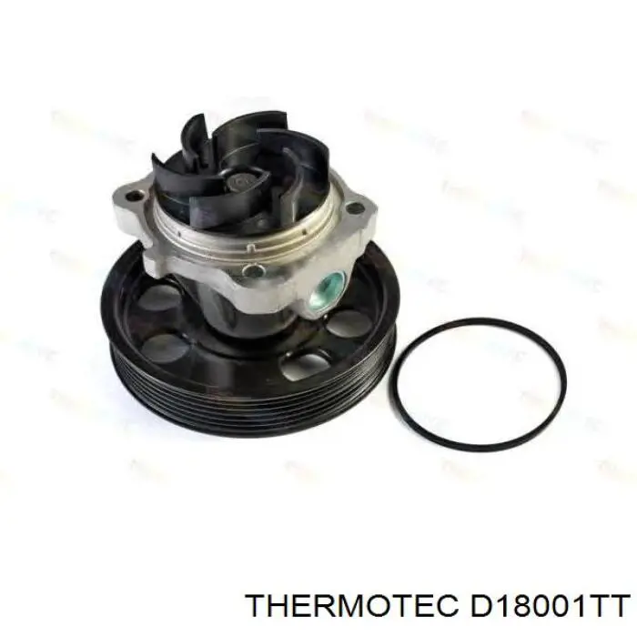 D18001TT Thermotec bomba de agua