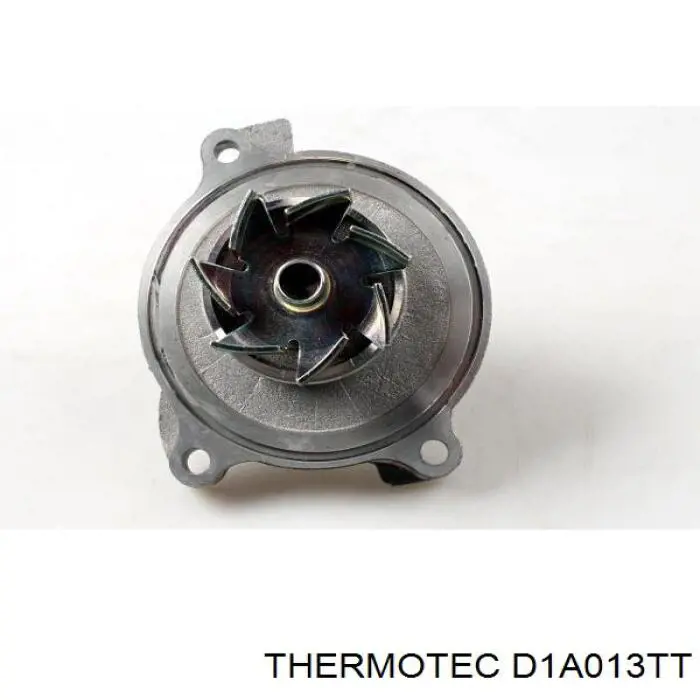 D1A013TT Thermotec bomba de agua