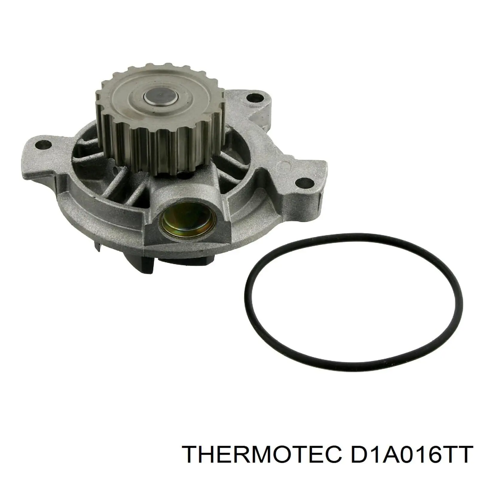 D1A016TT Thermotec bomba de agua