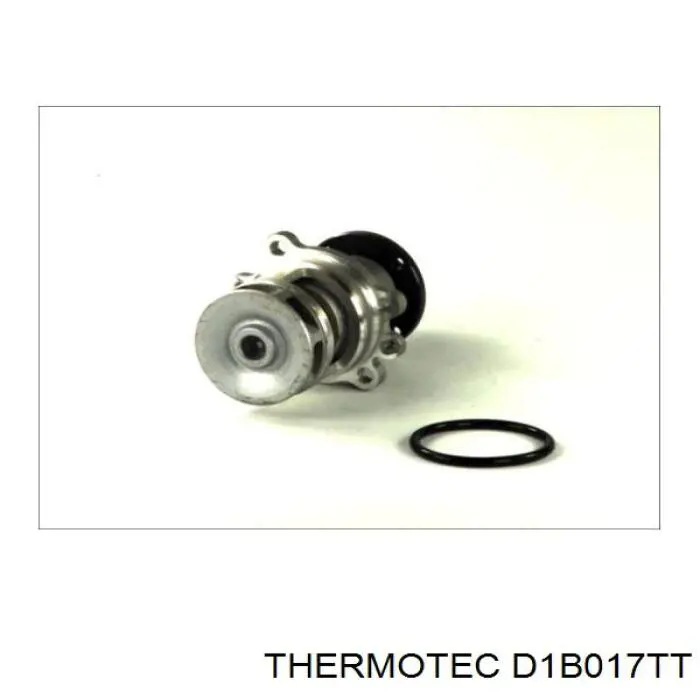 D1B017TT Thermotec bomba de agua
