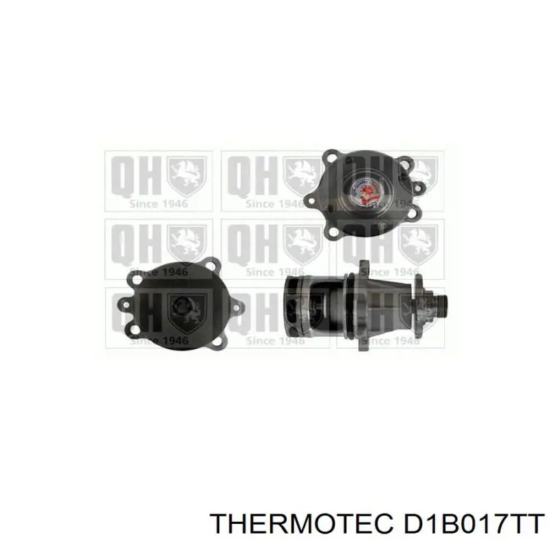 Comprar S10077 Polcar Bomba de agua para motor