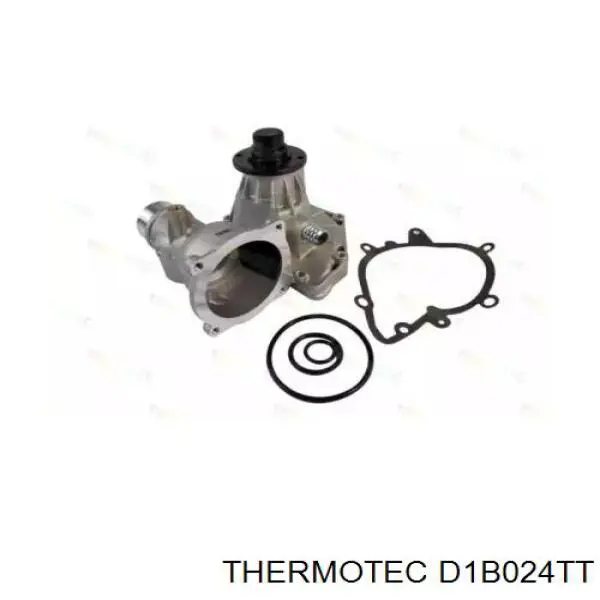 D1B024TT Thermotec bomba de agua