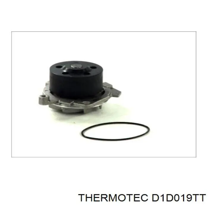 D1D019TT Thermotec bomba de agua