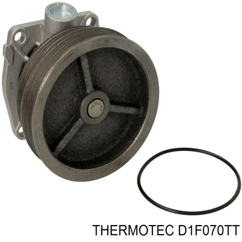 D1F070TT Thermotec bomba de agua