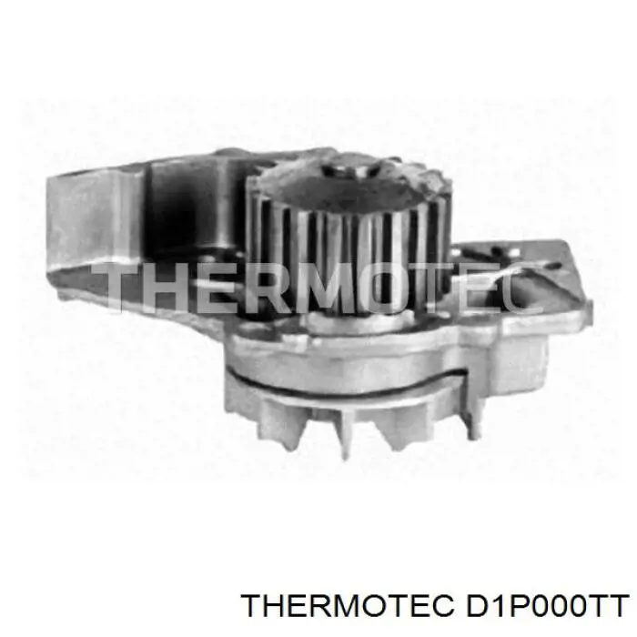 D1P000TT Thermotec bomba de agua