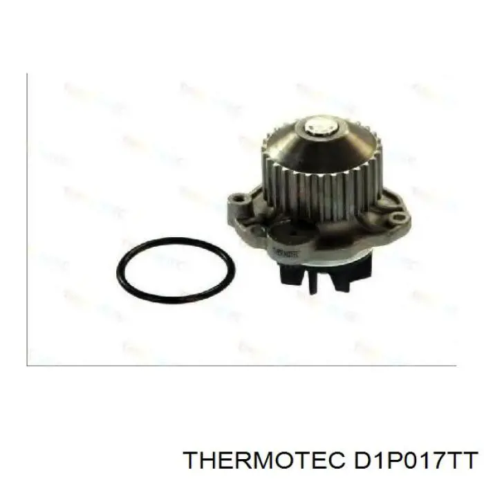 D1P017TT Thermotec bomba de agua