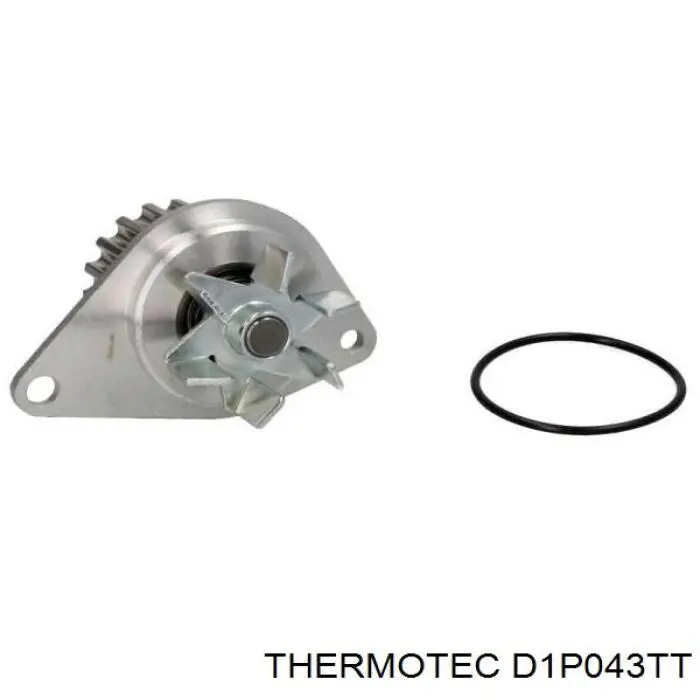 D1P043TT Thermotec bomba de agua