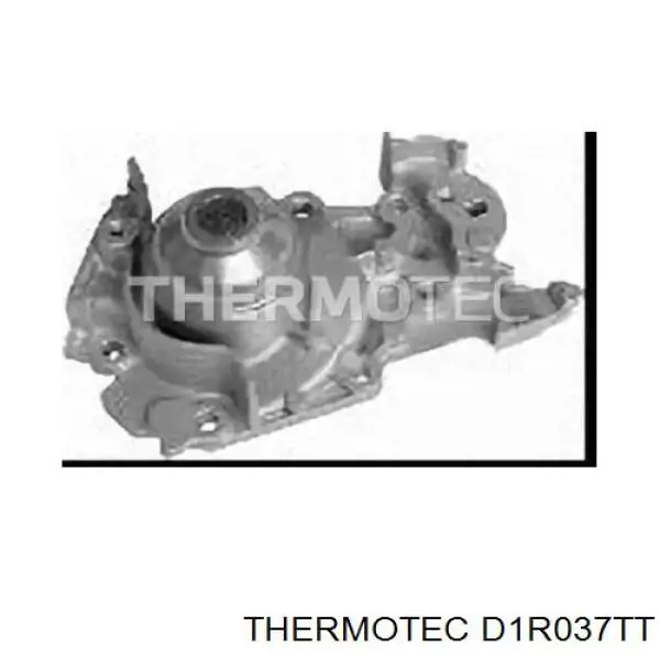 D1R037TT Thermotec bomba de agua
