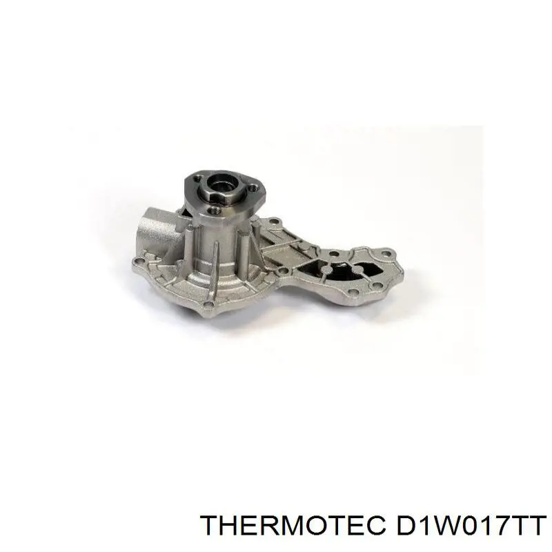 Bomba de agua D1W017TT Thermotec