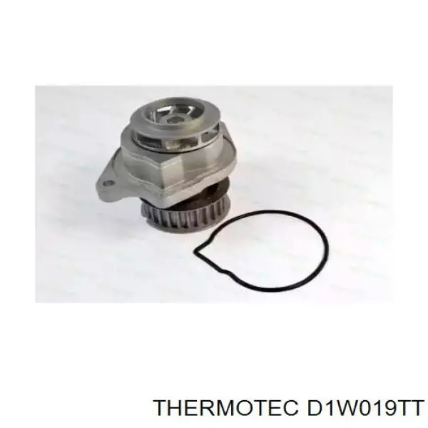 D1W019TT Thermotec bomba de agua