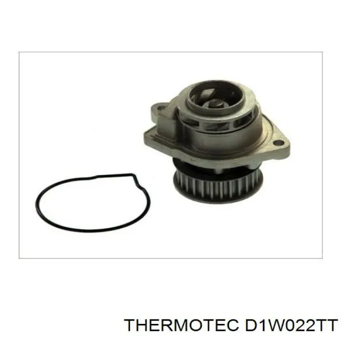 D1W022TT Thermotec bomba de agua