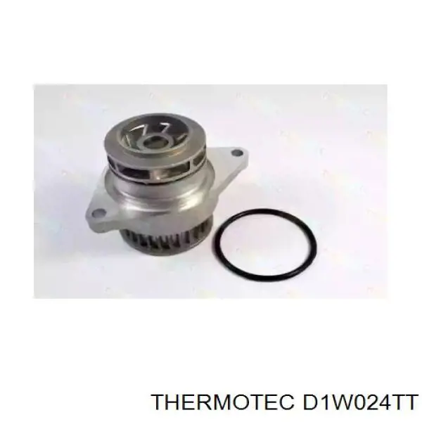 D1W024TT Thermotec bomba de agua