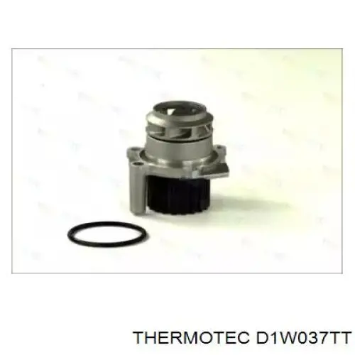 D1W037TT Thermotec bomba de agua