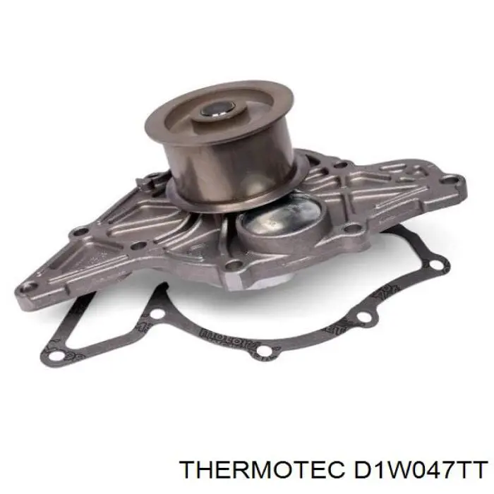D1W047TT Thermotec bomba de agua