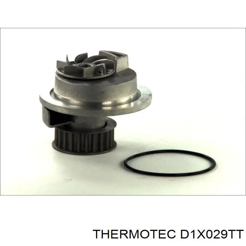 D1X029TT Thermotec bomba de agua